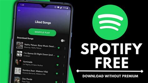 How to Download Music from Spotify without Premium: An Examination of Multiple Perspectives