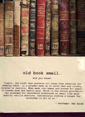 What Do Old Books Smell Like? An Exquisite Journey Through Memory and Pages